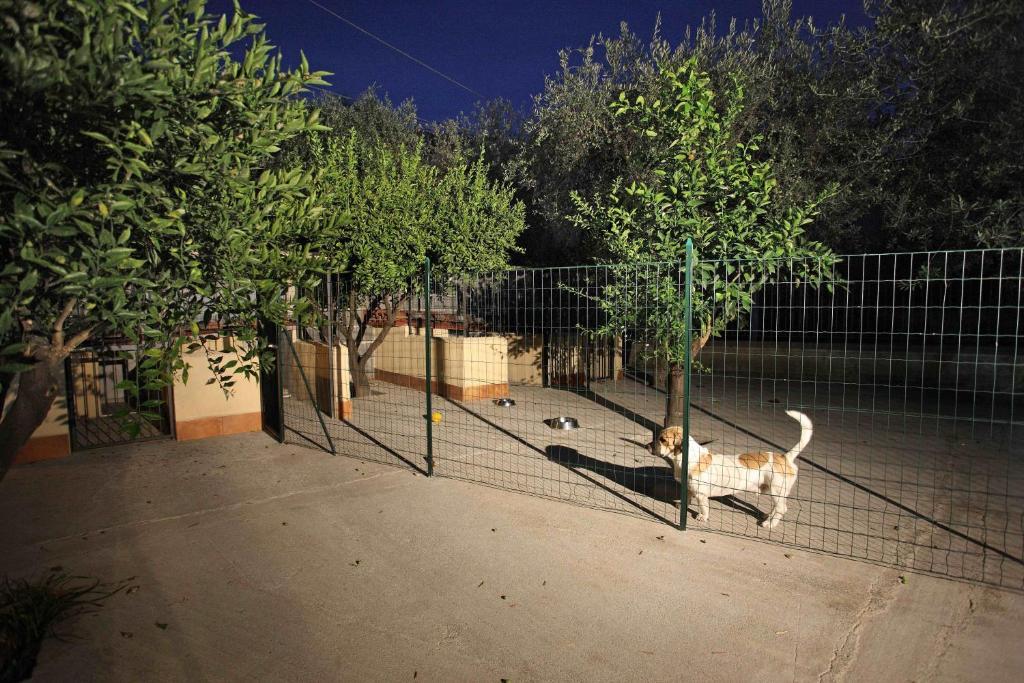 Villa Veronica Giardini Naxos Exteriér fotografie